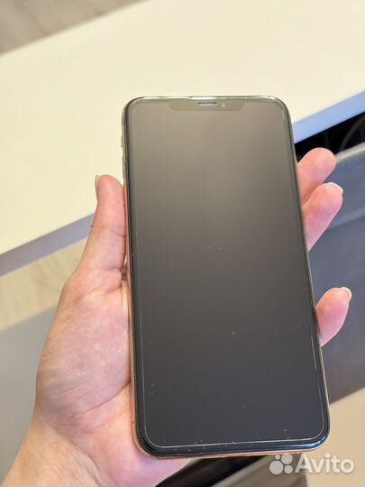iPhone Xs Max, 256 ГБ