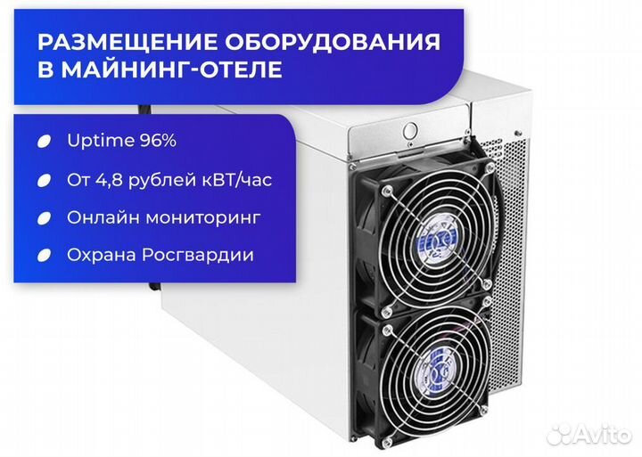 Asic Elphapex DG1+ 14,4