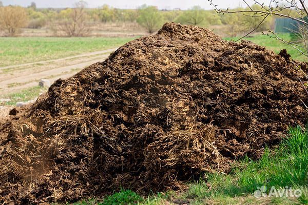Навоз коровий оптом