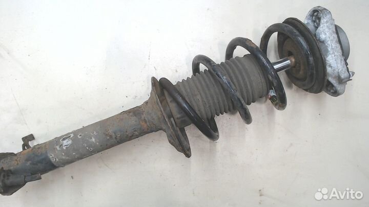 Амортизатор подвески Fiat Ducato, 2007