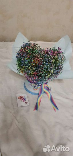 Радужная гипсофила