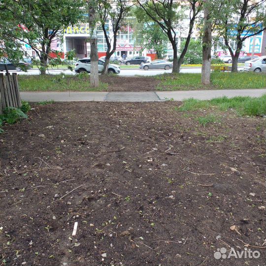 Инженер пто