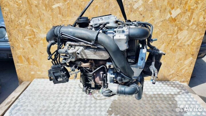 Двигатель Volkswagen Golf 5 2006 BRU 1.9