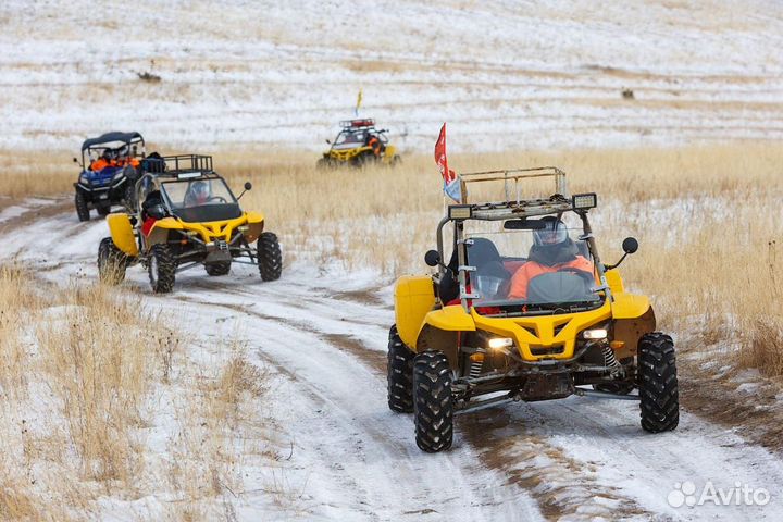 Продам багги