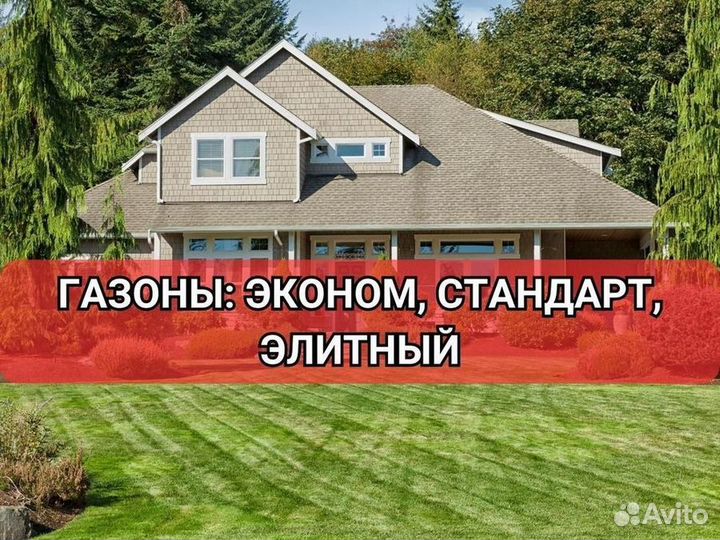 Рулонный газон от производителя элитный