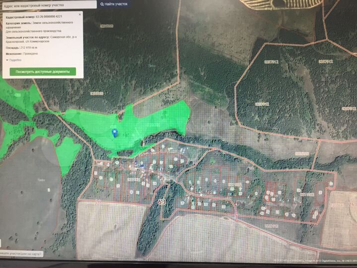 Участок 21,24 га (СНТ, ДНП)