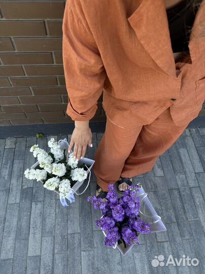 Маттиола, букет из маттиолы с доставкой