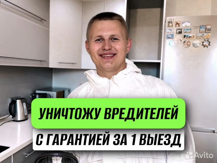 Уничтожение клопов, тараканов. Дезинфекция