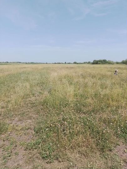 Участок 6 га (СНТ, ДНП)