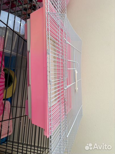 Все для ежа