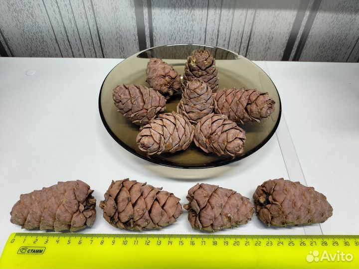 Кедровые шишки с орехами для поделок