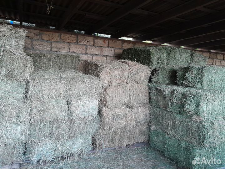 Сено люцерны, разнотравия