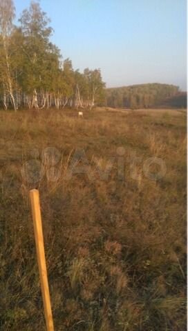 Участок 12,5 сот. (СНТ, ДНП)