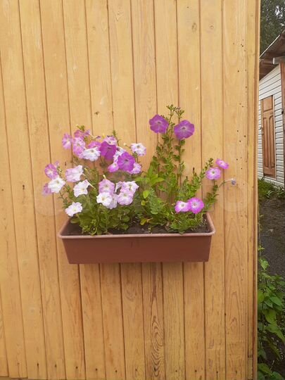 Дача 10 м² на участке 8 сот.