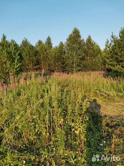 Мед Окунево