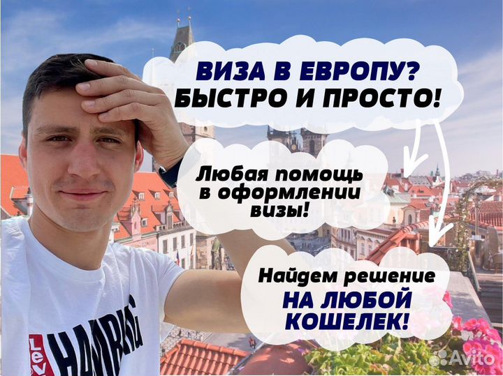 Шенгенская виза\туристическая виза\ виза в США