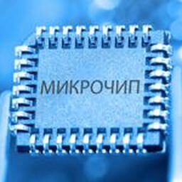 Microchip