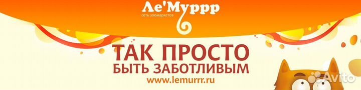 Заместитель директора