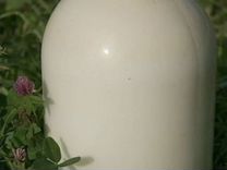 Молоко коровье домашнее опт