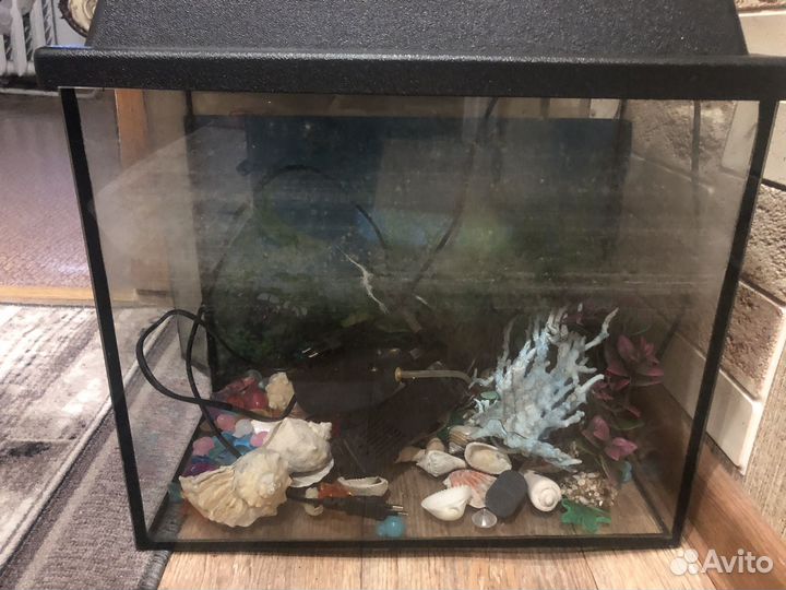 Аквариум
