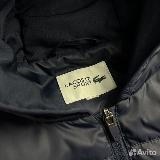 Жилет Lacoste