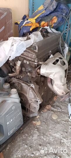 Двигатель toyota 1nzfe