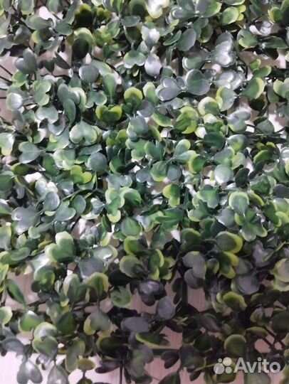 Искусственная трава самшит