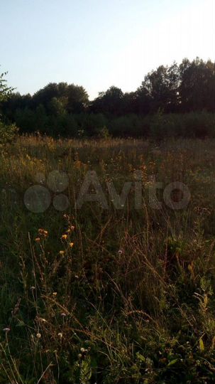 Участок 29,76 га (СНТ, ДНП)