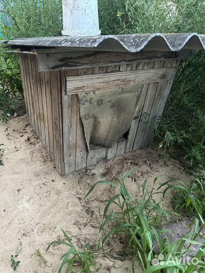Будка для собаки бесплатно