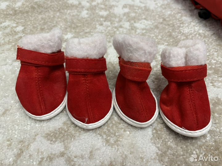 Ботинки для собак