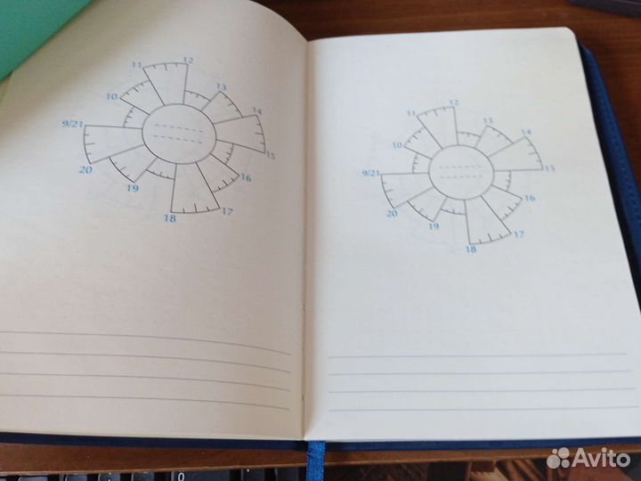 Ежедневник недатированный