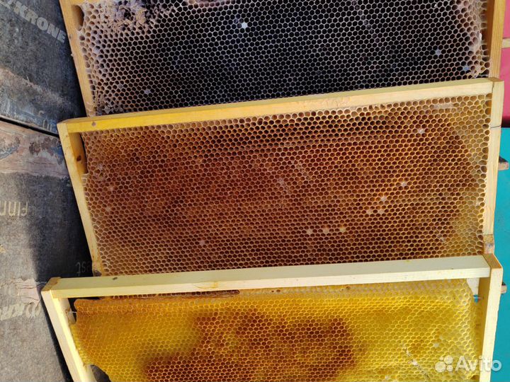 Сушь для пчел