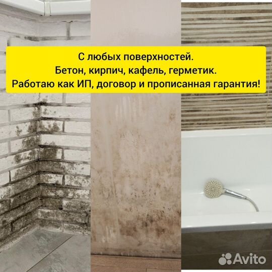 Уничтожение тараканов, клопов, удаление плесени