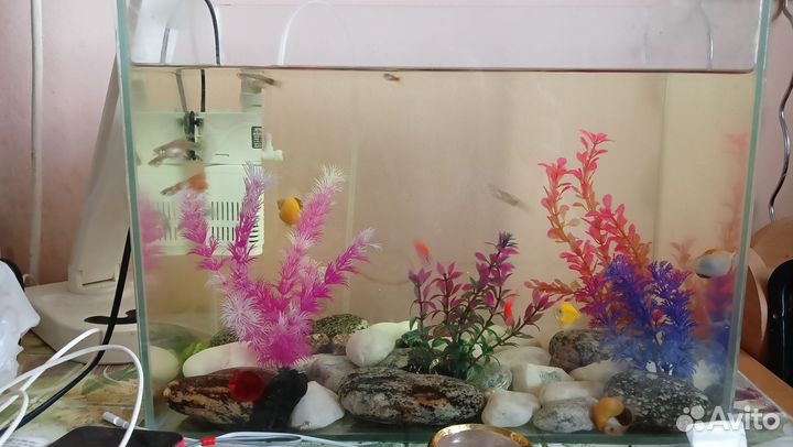Аквариум