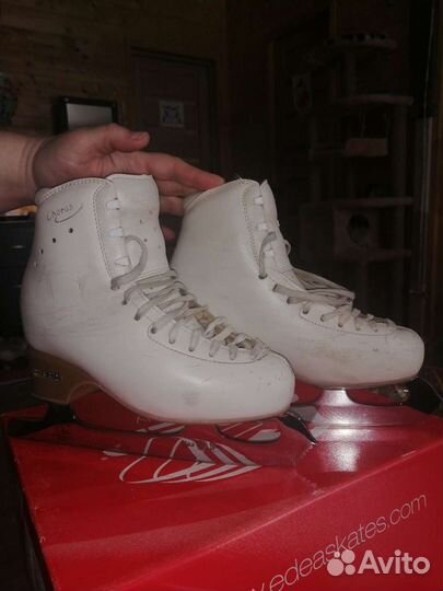 Фигурные коньки edea chorus