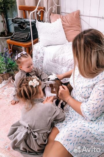 Экспресс фотосессия