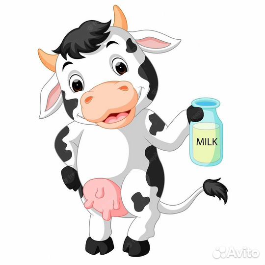 Молодая корова