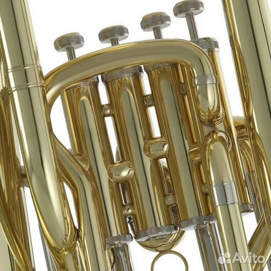 Эуфониум Roy Benson EP-303 Bb