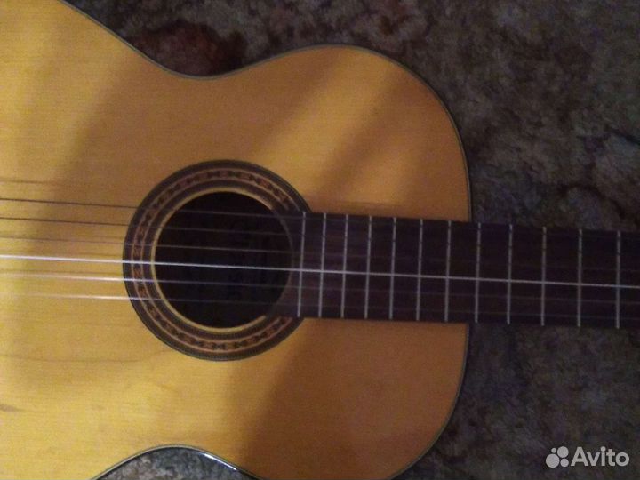 Классическая гитара из гдр, Musima