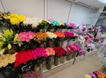 Готовый бизнес Магазин цветов