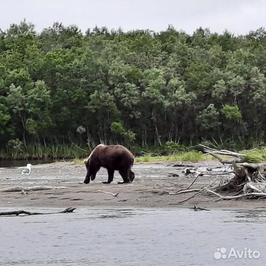 Экспедиция 