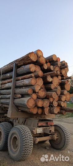 Дрова колотые