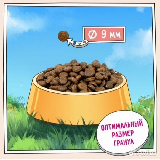 Сухой корм зилли для кошек