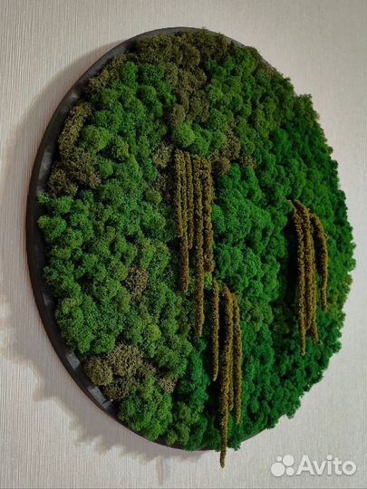 Зелёные картины, панно из мха