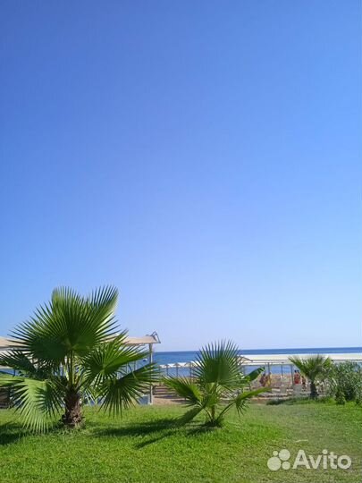 Отзыв об отдыхе в Турции