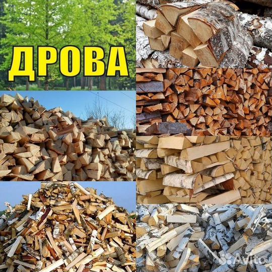 Продаю дрова дуб береза