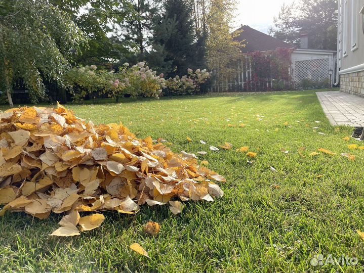 Рублевка. Рулонные газоны премиум качества