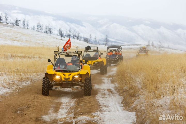 Продам багги