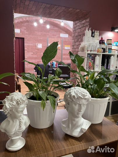 Аренда места в салоне красоты для парикмахера