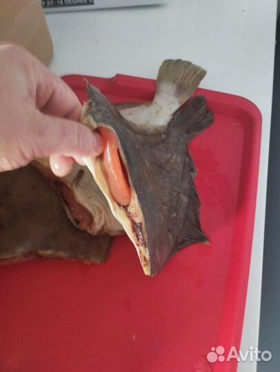 Камбала, Ёрш